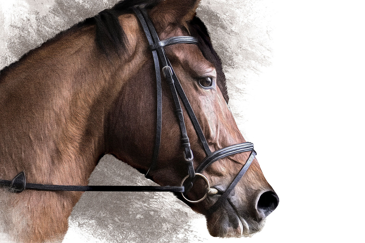 Portrait of a Horse II, an Animal Illustration by Digital Art Downloads (Photo 3 of 4)