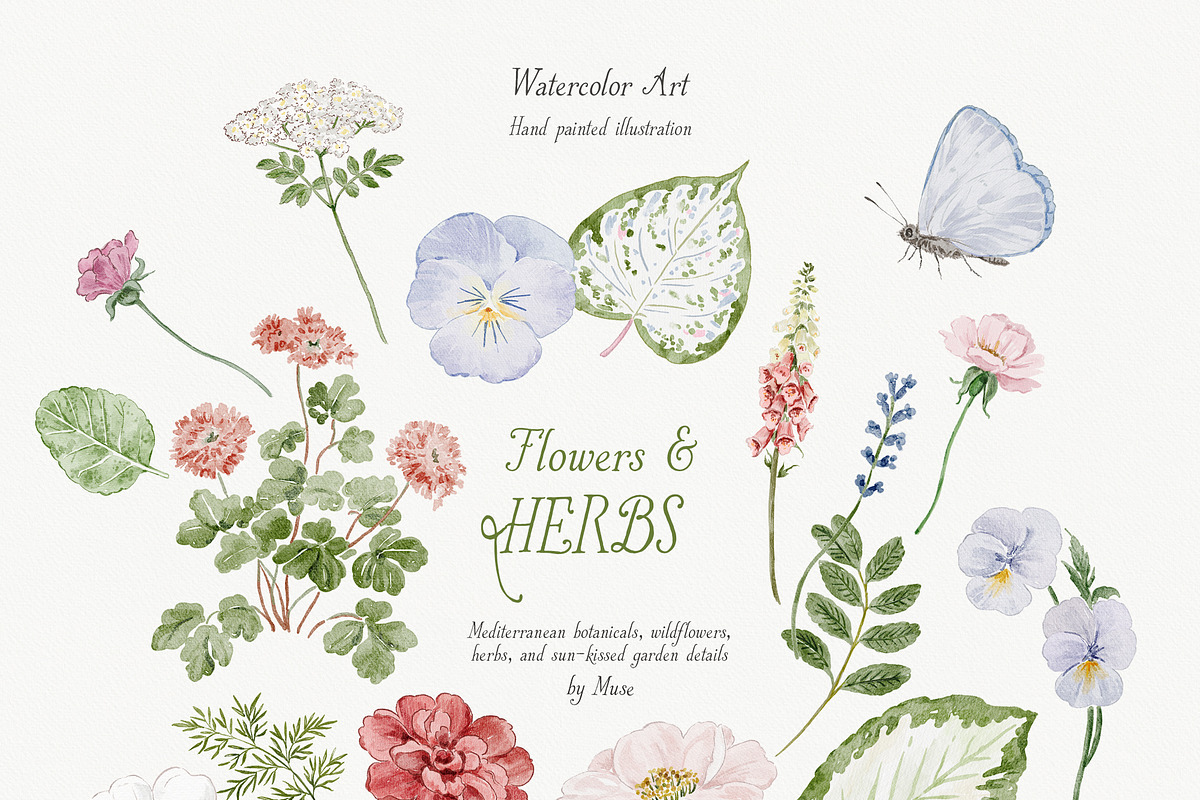 Where the Lemons Grow 400+, a Decorative Illustration by Muse Artist (Photo 17 of 33)
