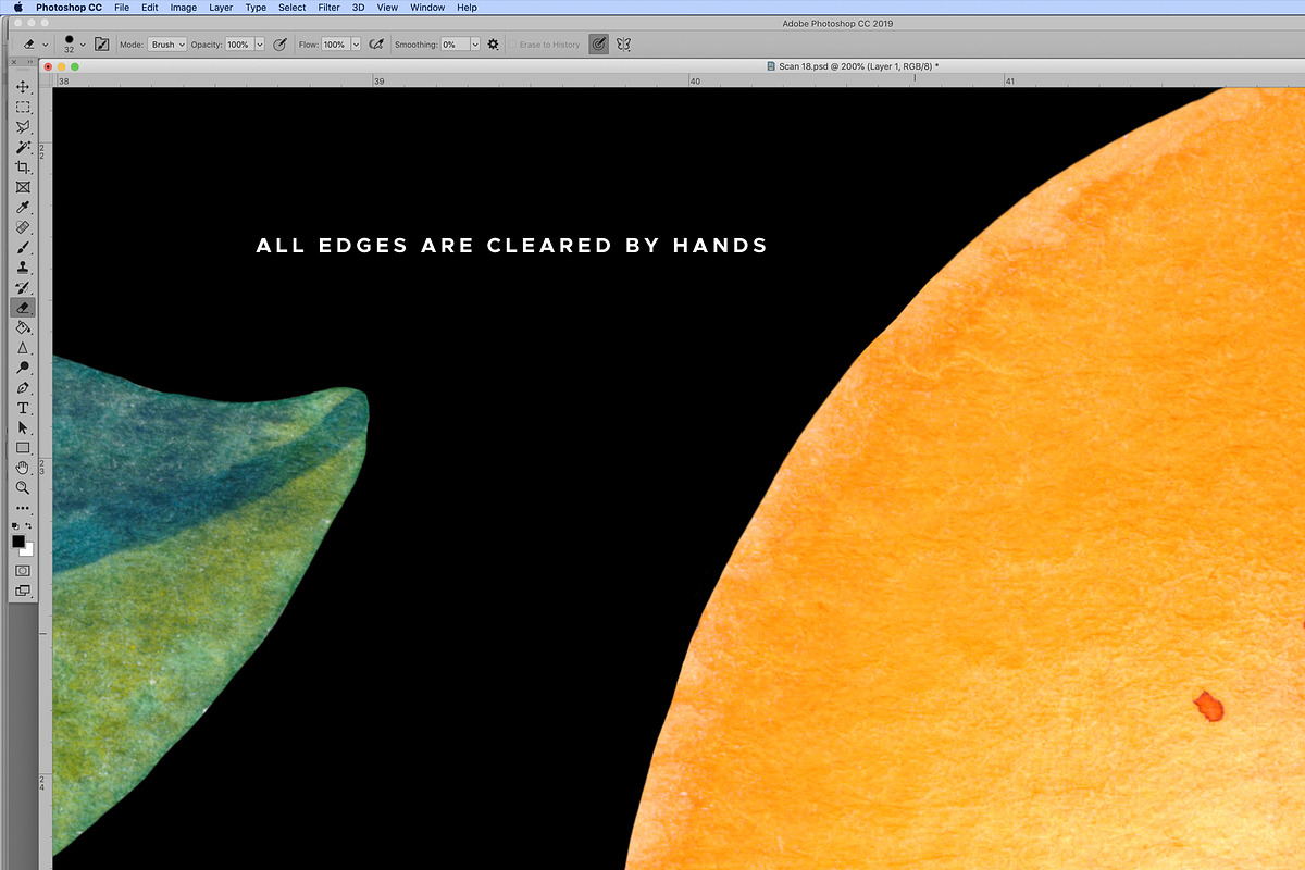 Watercolor Mandarin Fruits Vol. 2, a Food Illustration by Olga Begak Art & Design (Photo 3 of 8)
