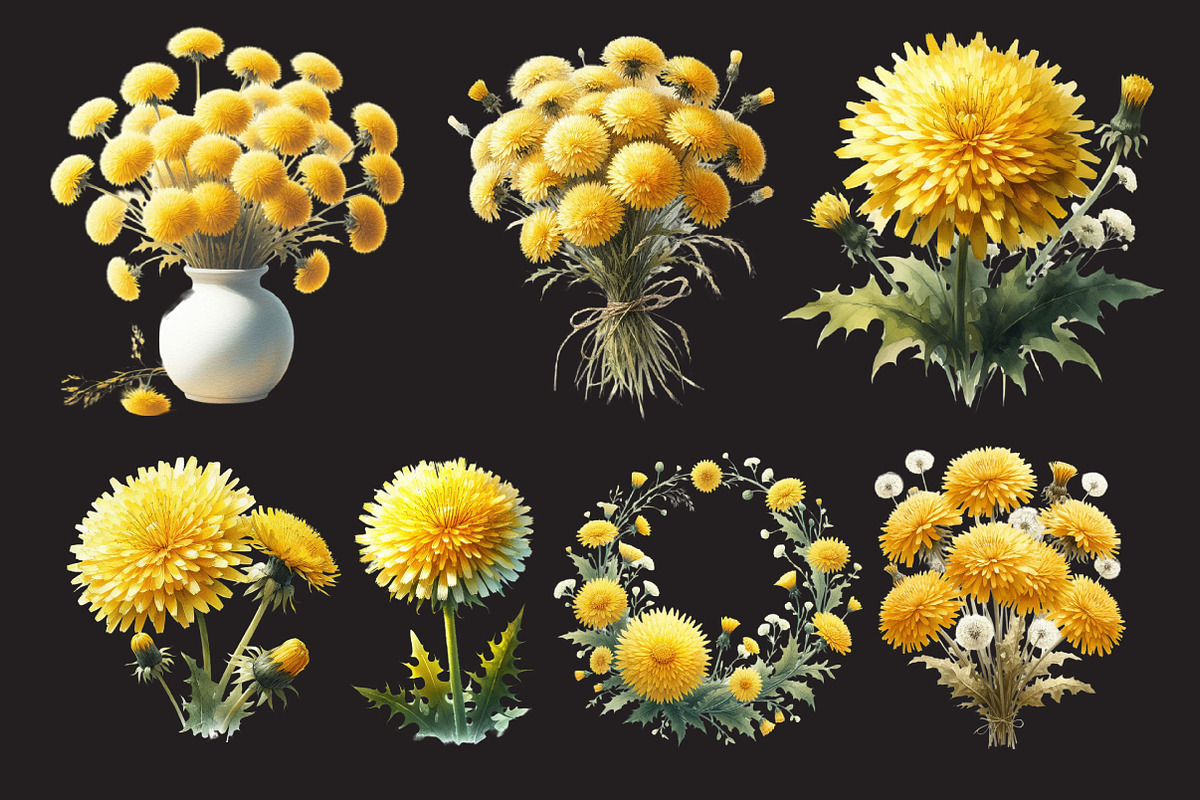 Watercolor Dandelion Clipart, a Work Illustration by Dream Creation (Photo 4 of 5)