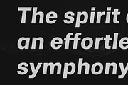 Asperia Maestro Typeface, a Sans Serif Font by NicolassFonts (Thumbnail 4 of 5)