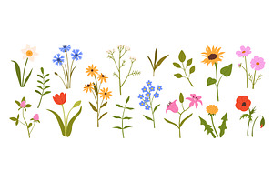 Spring flowers. Blooming garden and, an Object Illustration by winwin.art