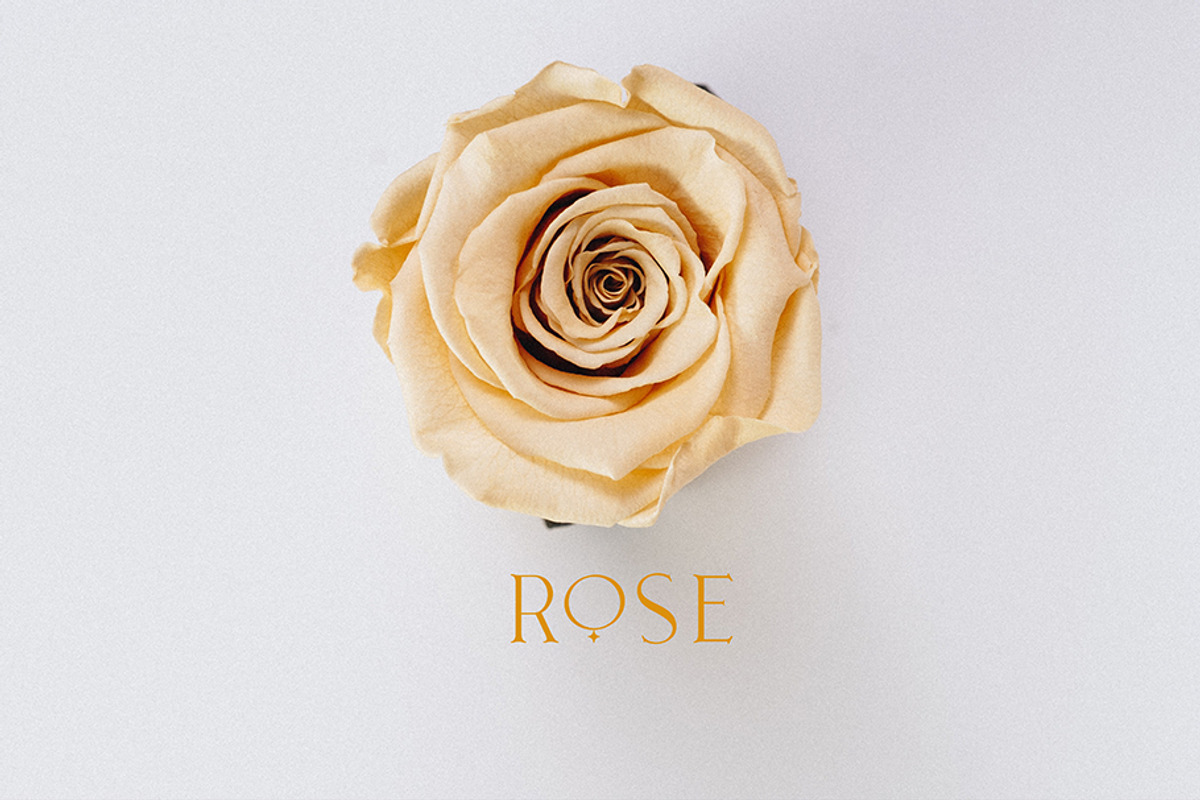 Leonetta Font Duo + Extras, a Serif Font by Angin Studio (Photo 11 of 16)