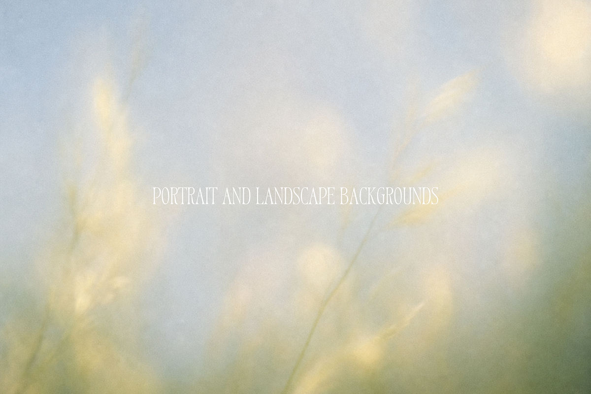 Dreamy Blurry Flower Backgrounds, a Background Graphic by Refancy (Photo 4 of 12)