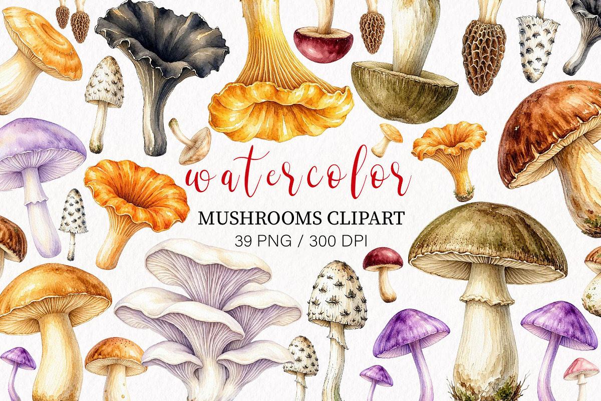 Watercolor Mushrooms clipart, an Object Illustration by fashionaddict (Photo 1 of 7)