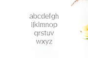 Lisandro Slab Serif Font, a Slab Serif Font by Creativetacos (Thumbnail 3 of 5)