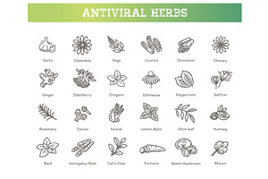 Set of antiviral herbs, a Food Illustration by Tettygreen