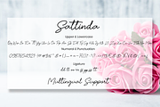 Sattinda Script Monoline Font, a Script Font by MC Creative (Thumbnail 6 of 7)