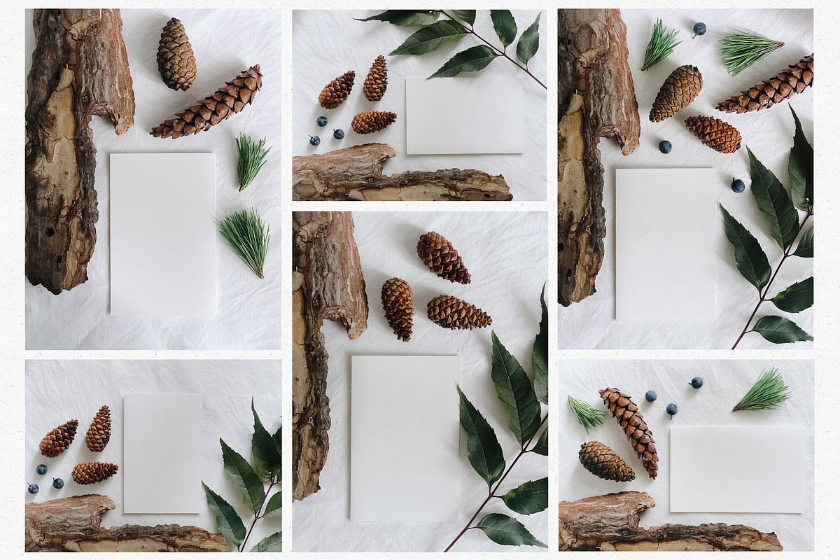 22 Autumn/Winter Flat Lay Photos, a Nature Photo by Helga Wigandt (Photo 4 of 5)
