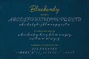 Bluekendy, a Script Font by Drizy (Thumbnail 5 of 9)