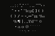 Bonuko - Modern Ligature Serif Font, a Serif Font by Iqsiart Studio (Thumbnail 4 of 16)