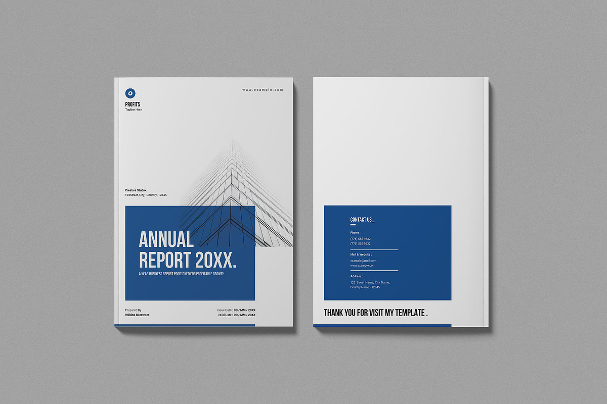 Annual Report Template, a Brochure Template by Work-Envance (Photo 7 of 7)