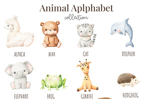 Animal Alphabet - Watercolor Set