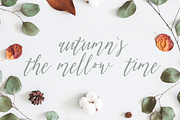 Olis — handmade font family, a Script Font by Roman Polishchuk (Thumbnail 2 of 5)