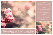 Summer Collection - PS Bundle, an Action Add-On by LovePhotoMoment (Thumbnail 10 of 23)