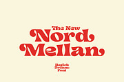 Regick Dream – Retro Display Font, a Serif Font by Typebae (Thumbnail 6 of 9)