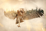 Double Exposure Photoshop Action, an Action Add-On by Sevenstyles (Thumbnail 12 of 21)