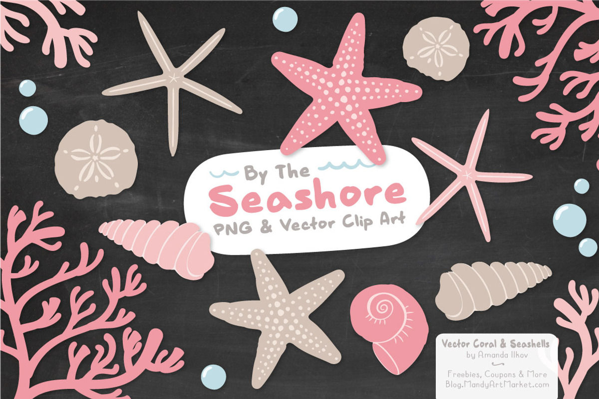 Seashells Clipart in Soft Pink, an Illustration by Amanda Ilkov (Photo 3 of 5)