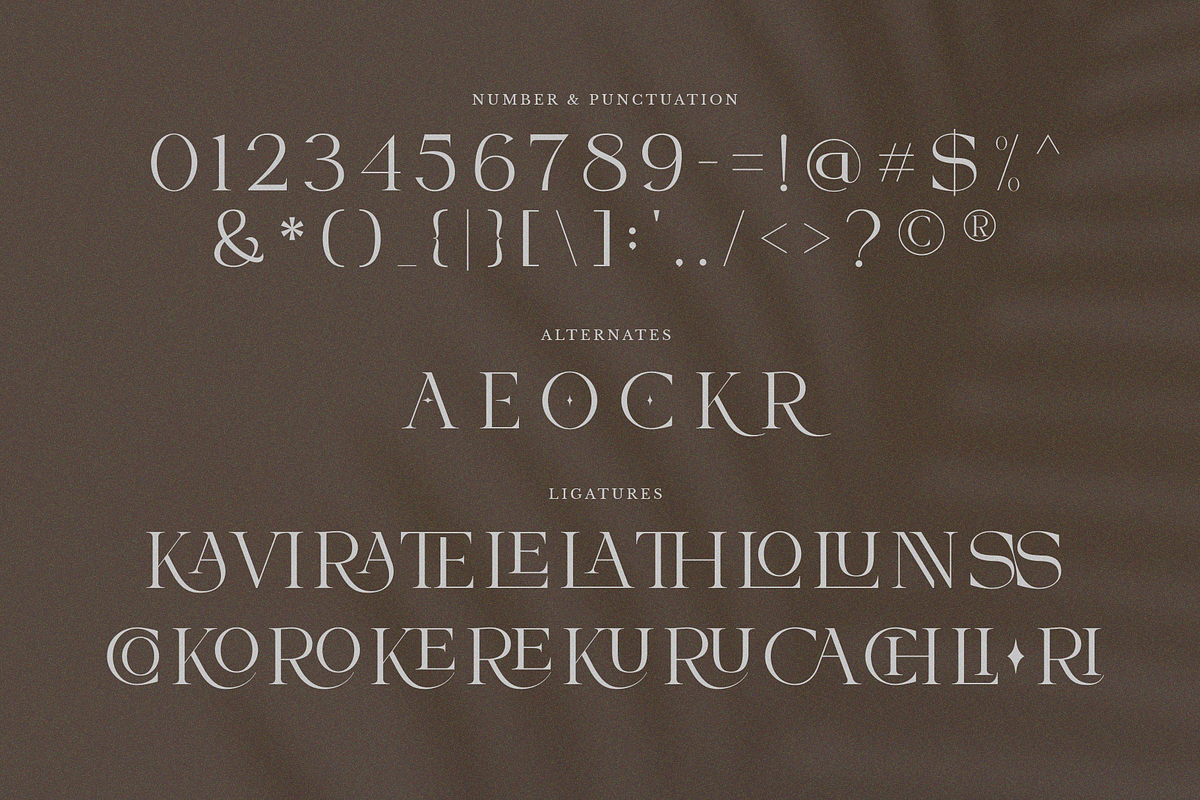 VIBERATE || ligature typeface, a Serif Font by ToniStudio (Photo 7 of 10)