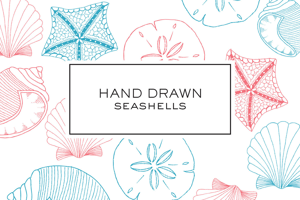 Hand Drawn Seashell Clipart, an Illustration by Haute Papier (Photo 1 of 2)