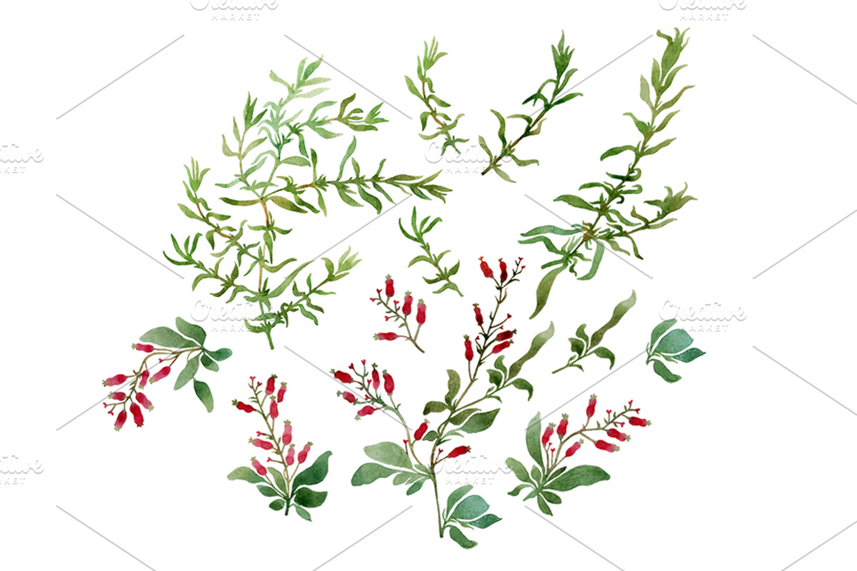 Branches, an Illustration by Watercolor life (Photo 2 of 10)