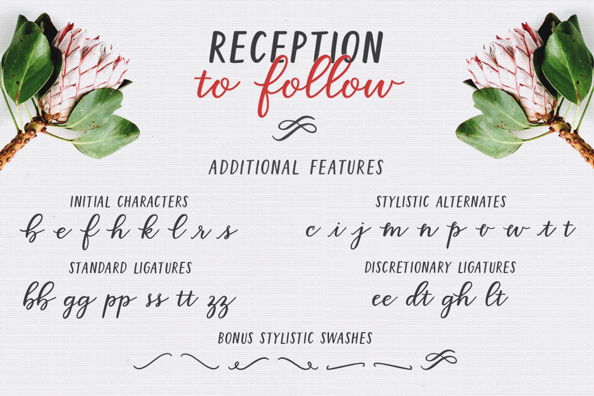 Reception to Follow, a Script Font by Lone Star Lettering (Photo 13 of 13)