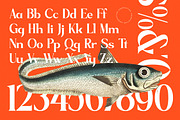Sagfield Modern Serif Font, a Serif Font by AmorfaType (Thumbnail 10 of 10)