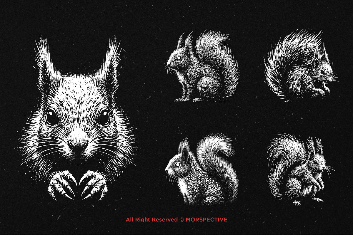 10 Bundle Dark Art Squirrel Animal, an Illustration by Morspective (Photo 5 of 7)
