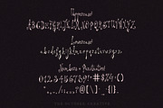 Prudence Lies Spidery Display Font, a Handwritten Font by The October Creative (Thumbnail 2 of 8)