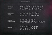 Holtemia Script – Brush Script font, a Script Font by MEANDSTUDIO (Thumbnail 7 of 9)