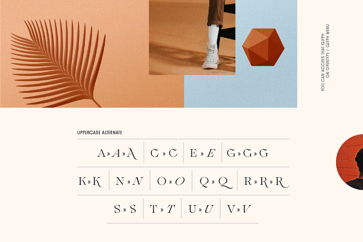 RF Ceqabro Serif Display + Extra, a Sans Serif Font by Unfutur Labs (Photo 4 of 13)