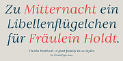Vivala Marbod, a Serif Font by VivalaType (Thumbnail 3 of 13)