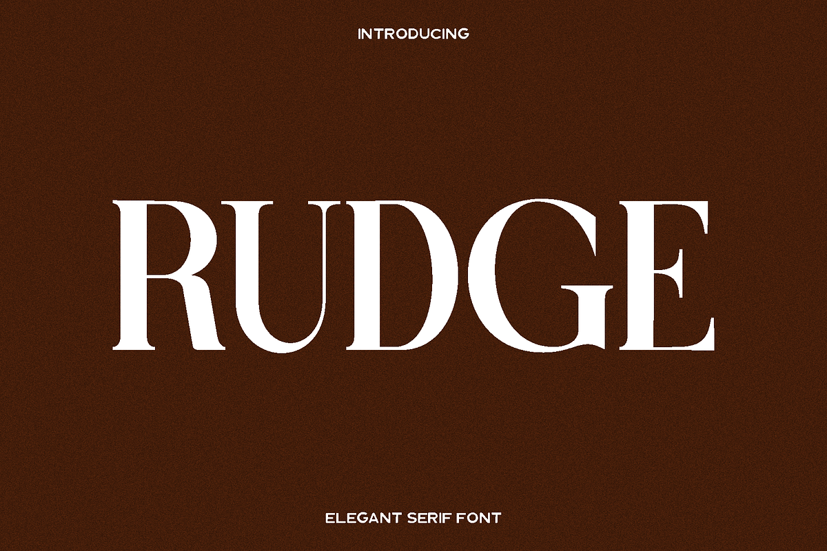 Rudge - Serif Font, a Serif Font by Luna Shop (Photo 1 of 6)