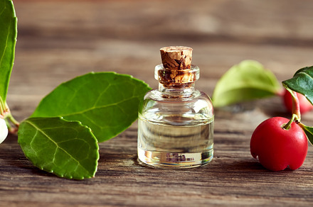 A bottle of wintergreen essential oil with wintergreen twigs, a Health & Medical Photo by Madeleine Steinbach