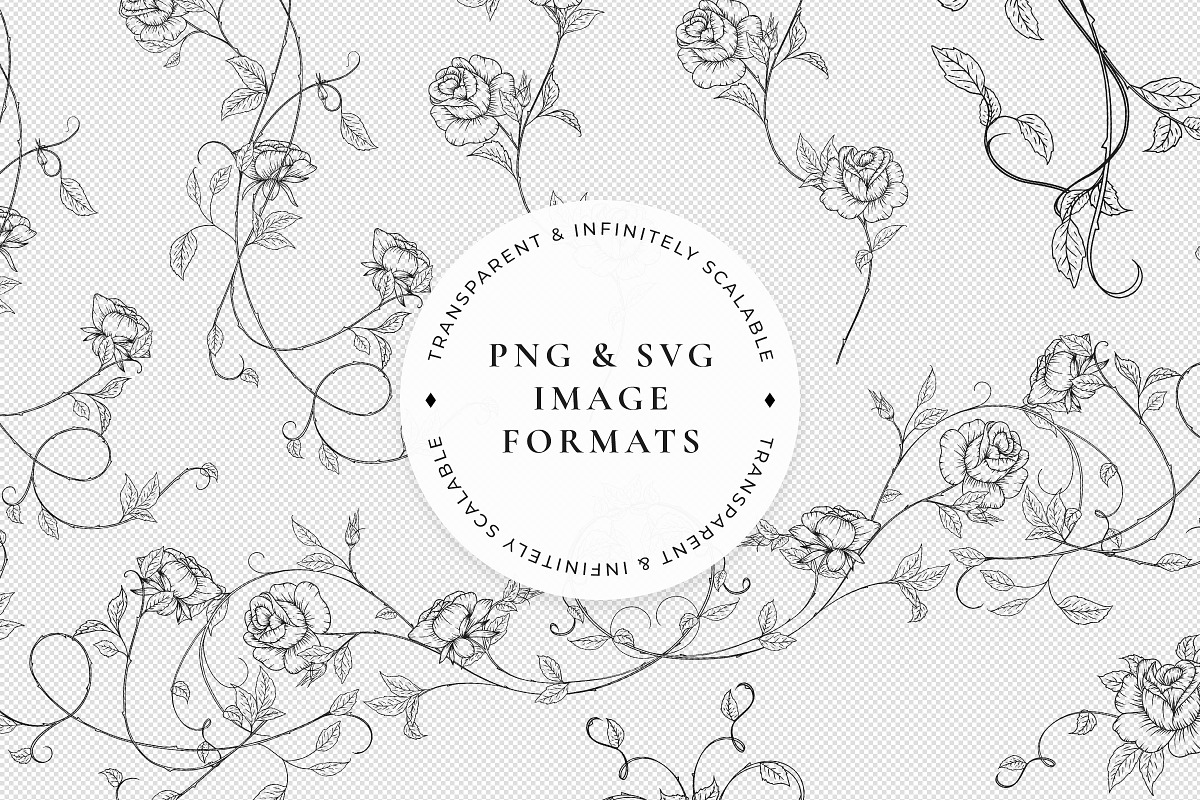 Rose Garden LineArt, a Decorative Illustration by AW Studios (Photo 9 of 11)