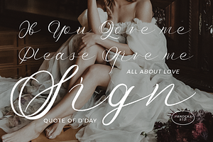 Lily Adam - Valentine Elegant Font