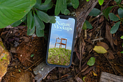 iPhone Nature Mockups, an iPhone Mockup by Arpit Brandings (Thumbnail 2 of 7)