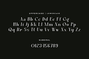 Catgeora - Elegant Serif Font, a Serif Font by QR Design Studio (Thumbnail 4 of 16)