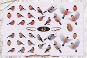 vector SET Winter Forest, an Animal Illustration by WINDmade (Thumbnail 10 of 19)