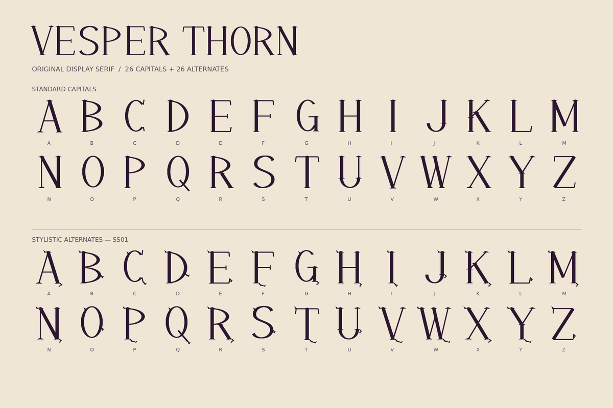 Vesper Thorn - Elegant Editorial, a Serif Font by Colorsfav (Photo 2 of 5)
