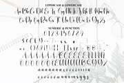 Goodnotes | Script Font, a Handwritten Font by Scratchones (Thumbnail 7 of 9)