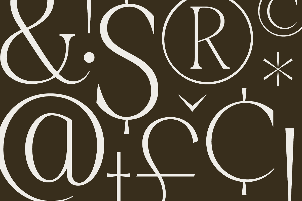 GC Ballerina - Stylish Serif Italic, a Serif Font by Glyphonic (Photo 7 of 15)