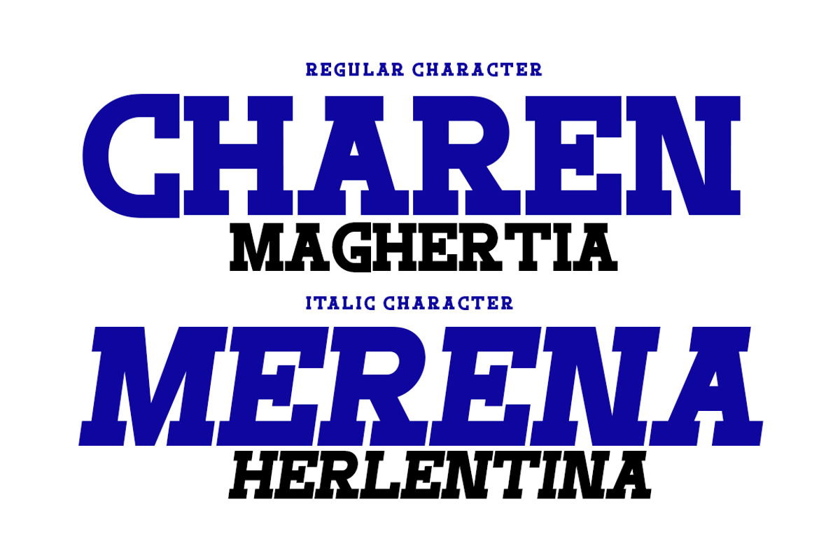 Thorm Lines, a Serif Font by IM Studio (Photo 4 of 5)