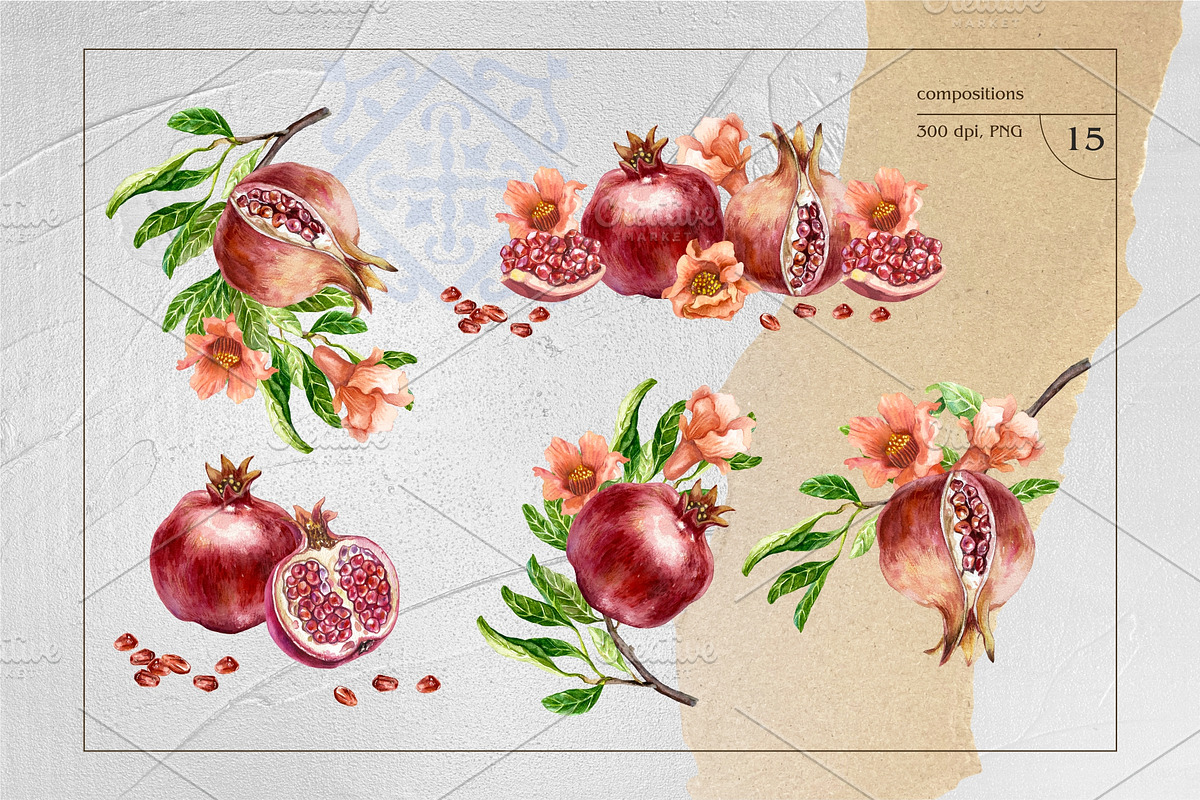 Pomegranates Watercolor collection, a Food Illustration by Farida Bik (Photo 3 of 15)
