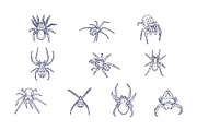 Spider Breeds Hand Drawn, an Animal Illustration by SLAB! Design (Thumbnail 2 of 3)