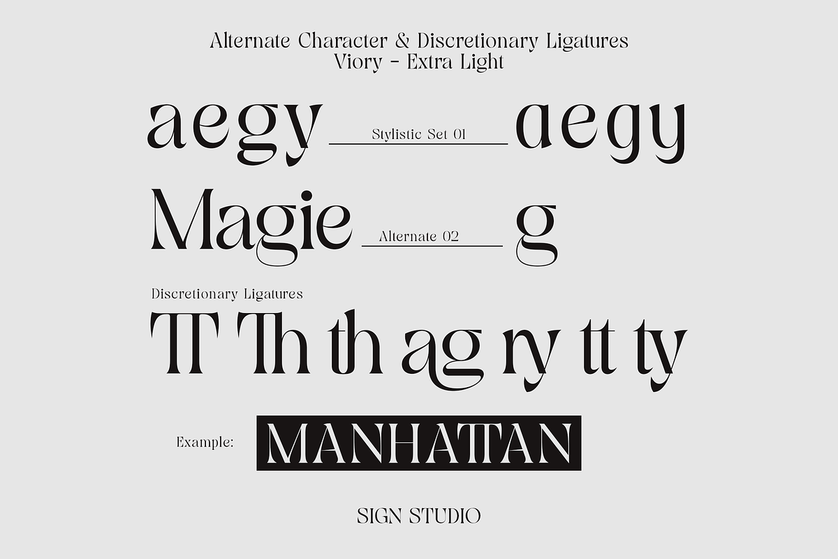 Viory - Extra Light with Italic, a Serif Font by Sign Studio (Photo 8 of 11)