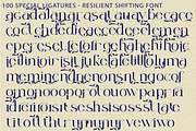 Resilient Shifting - Elegant Font, a Serif Font by 177Studio (Thumbnail 8 of 8)