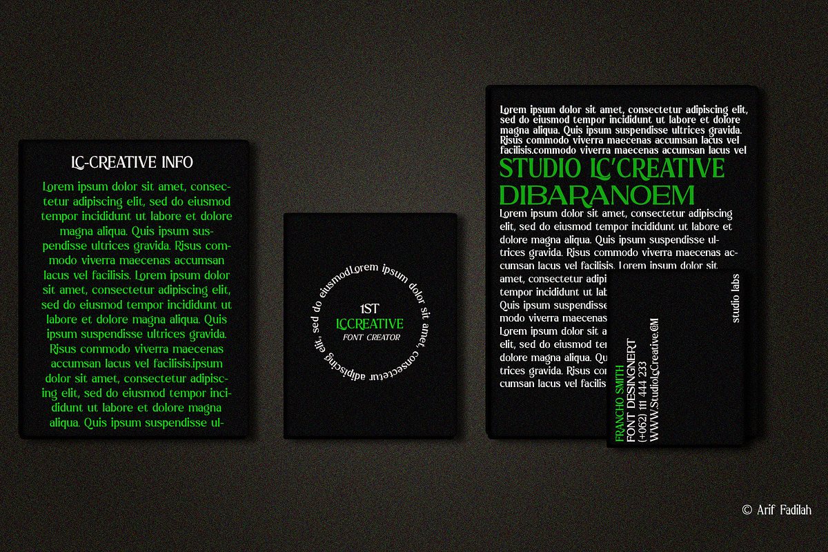 Roscha | Modern Serif Font Disc 50%, a Serif Font by LuhopCreative (Photo 9 of 13)