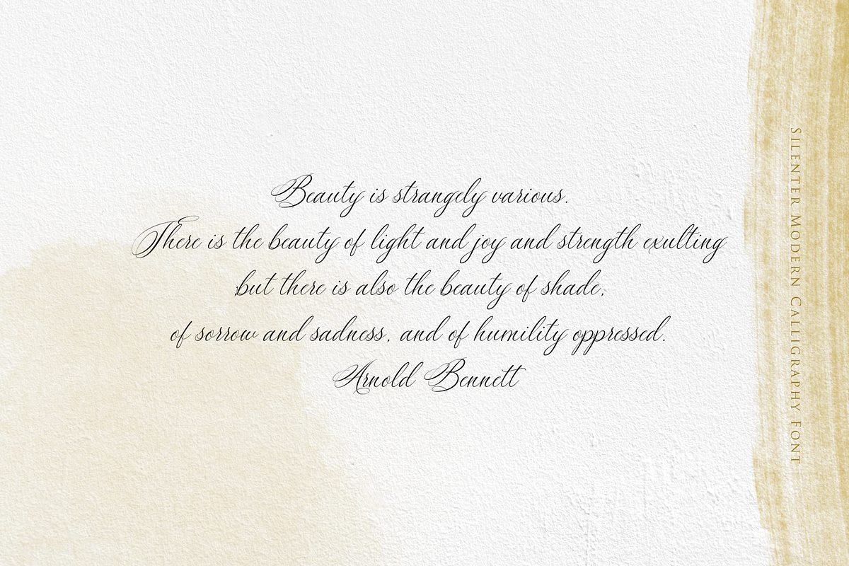Silenter / Modern Calligraphy Font preview 4