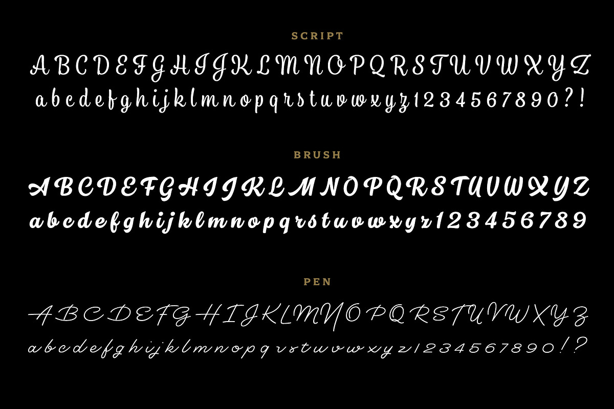 Dallas Print Shop Font Bundle, a Sans Serif Font by Fenotype (Photo 10 of 12)